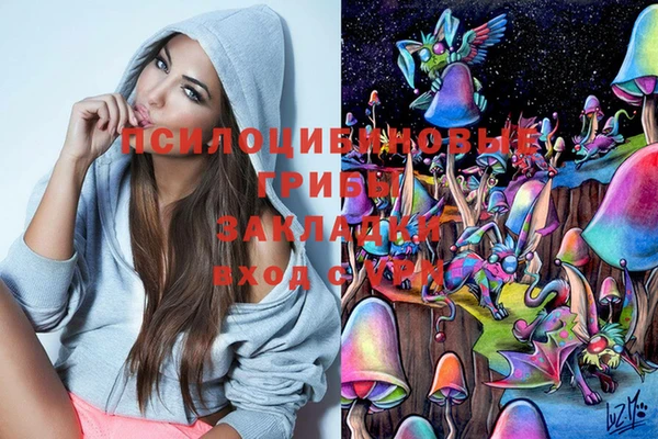 мдпв Бронницы