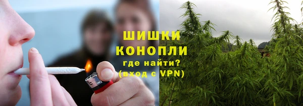 мдпв Бронницы