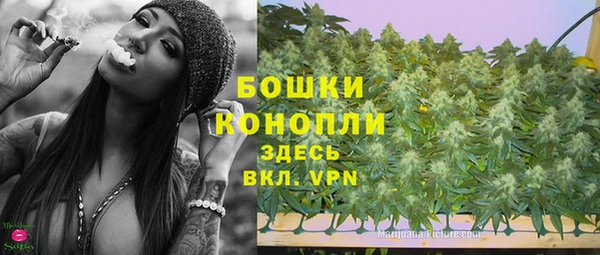 Альфа ПВП Бугульма