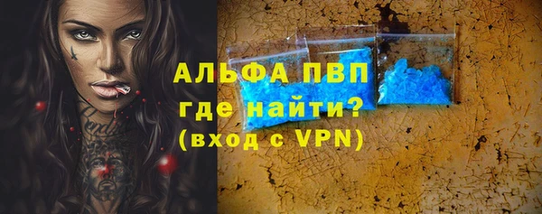 стафф Бородино