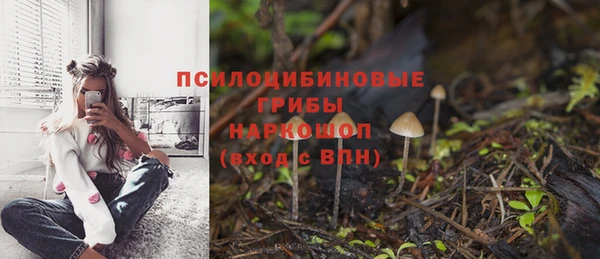 ECSTASY Верея